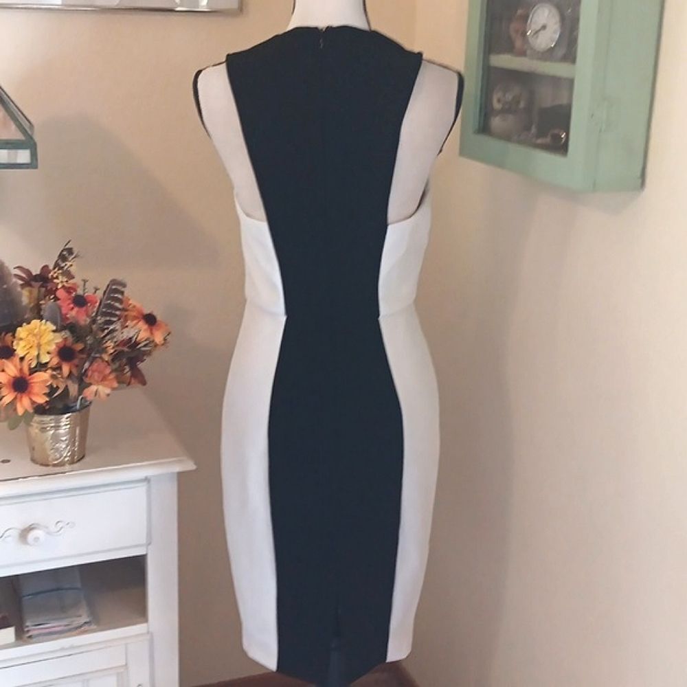 Alexia Admor Colorblock Dress - Picture 8 of 15